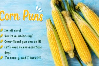 Corn Puns