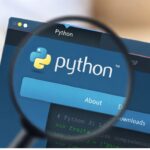 bvostfus python