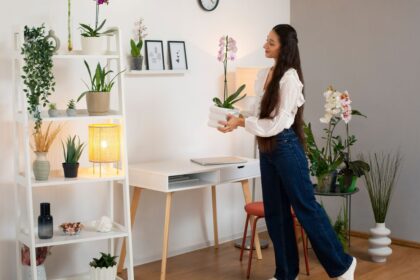 Decoration Tips DecoradHouse from DecoratorAdvice