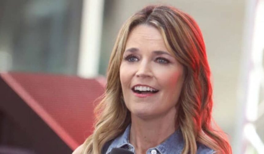 savannah guthrie net worth 2026